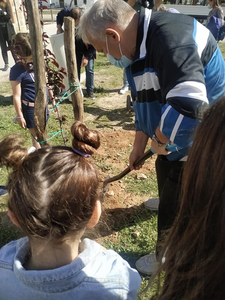 Tree-planting initiative in the Municipality of Ampelokipi, Thessaloniki, Greece