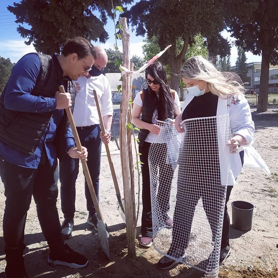 Tree-planting initiative in the Municipality of Ampelokipi, Thessaloniki, Greece