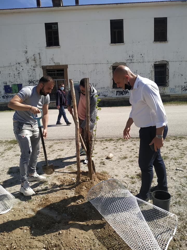 Tree-planting initiative in the Municipality of Ampelokipi, Thessaloniki, Greece