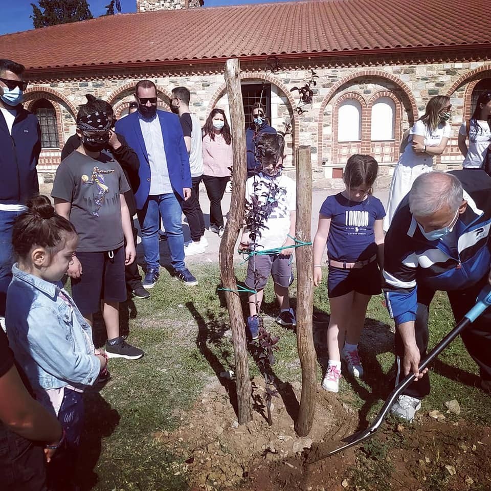 Tree-planting initiative in the Municipality of Ampelokipi, Thessaloniki, Greece